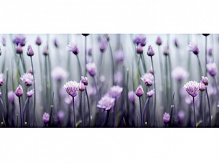 Фартук МДФ Лиловый туман