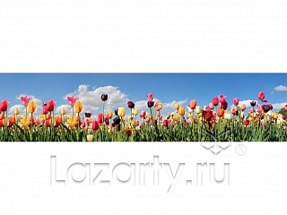 Фартук МДФ глянцевый 0180