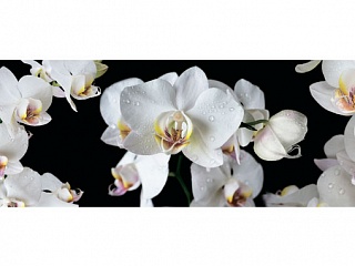 Фартук МДФ SP 194