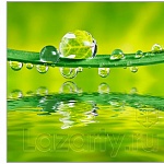 Защитное стекло Роса для кухни