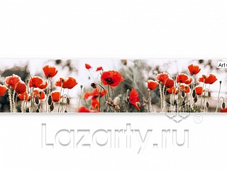 Фартук МДФ глянцевый 0155