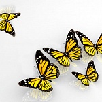 Потолочная панель ПВХ Novita Бабочки