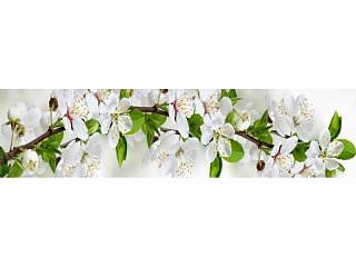 фартук из хдф элит цветущий сад №2 2440x610x3