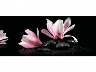 Фартук МДФ Магнолия на камнях