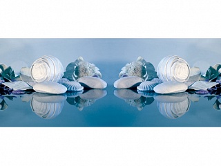 Фартук МДФ Морской коллаж