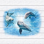 Потолочная панель ПВХ Unique Дельфины