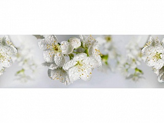 Фартук глянцевый МДФ Яблоневый цвет