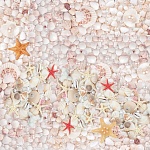 Влагостойкий 3Д пол Ракушки