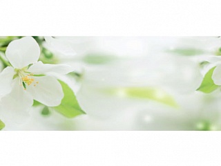 Фартук МДФ Цветущая яблоня