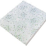 Панель ПВХ Одуванчики/ Салют