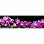 Фартук глянцевый МДФ Цветы 10