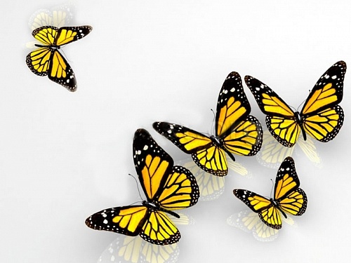 Потолочная панель ПВХ Novita Бабочки