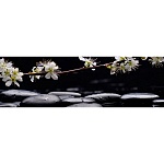 Фартук МДФ СПА 2