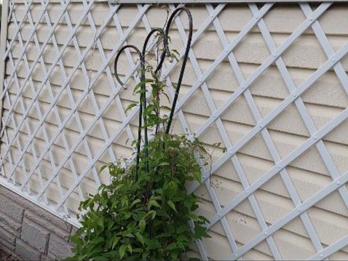 Шпалера садовая 2