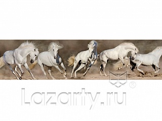 Фартук МДФ глянцевый 0170