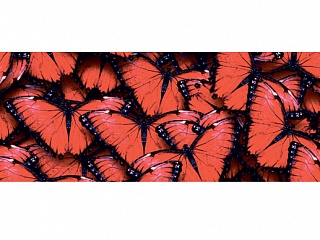 Фартук МДФ Баттерфляй