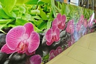 Фартук для кухни Орхидея серия Эпифиты
