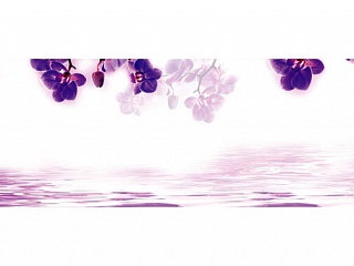 Фартук МДФ Экзотика