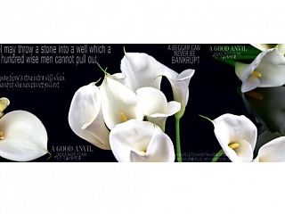 Фартук МДФ Каллы