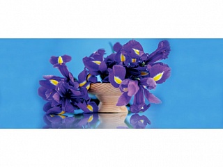 Фартук МДФ Ирисы